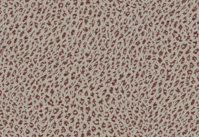 Leopard | Campden
