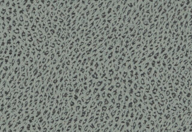 Leopard | Campden