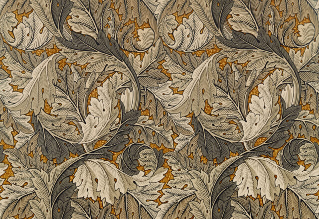 Acanthus | Archive IV The Collector Fabrics