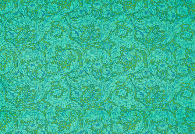 Bachelors Button | Cornubia Fabrics