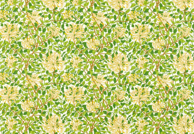 Honeysuckle | Cornubia Fabrics
