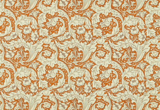 Bachelors Button | Cornubia Fabrics