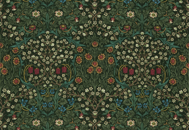 Blackthorn | Compilation Fabric