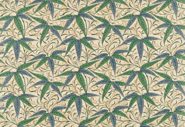 Bamboo | Compilation Fabric