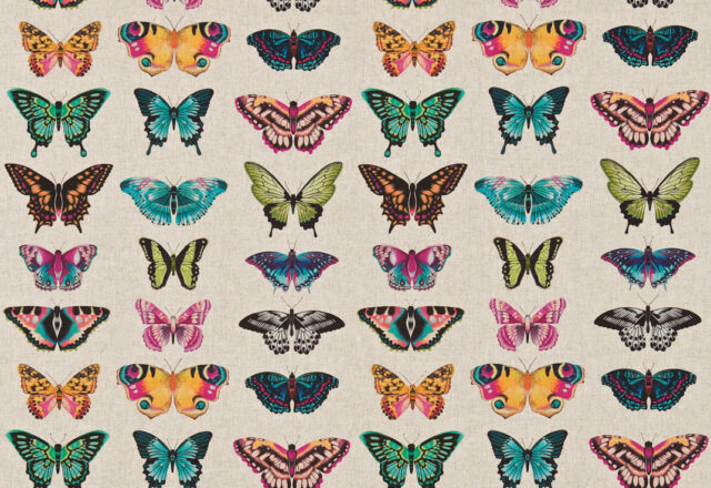 Papilio | Colour Fabrics