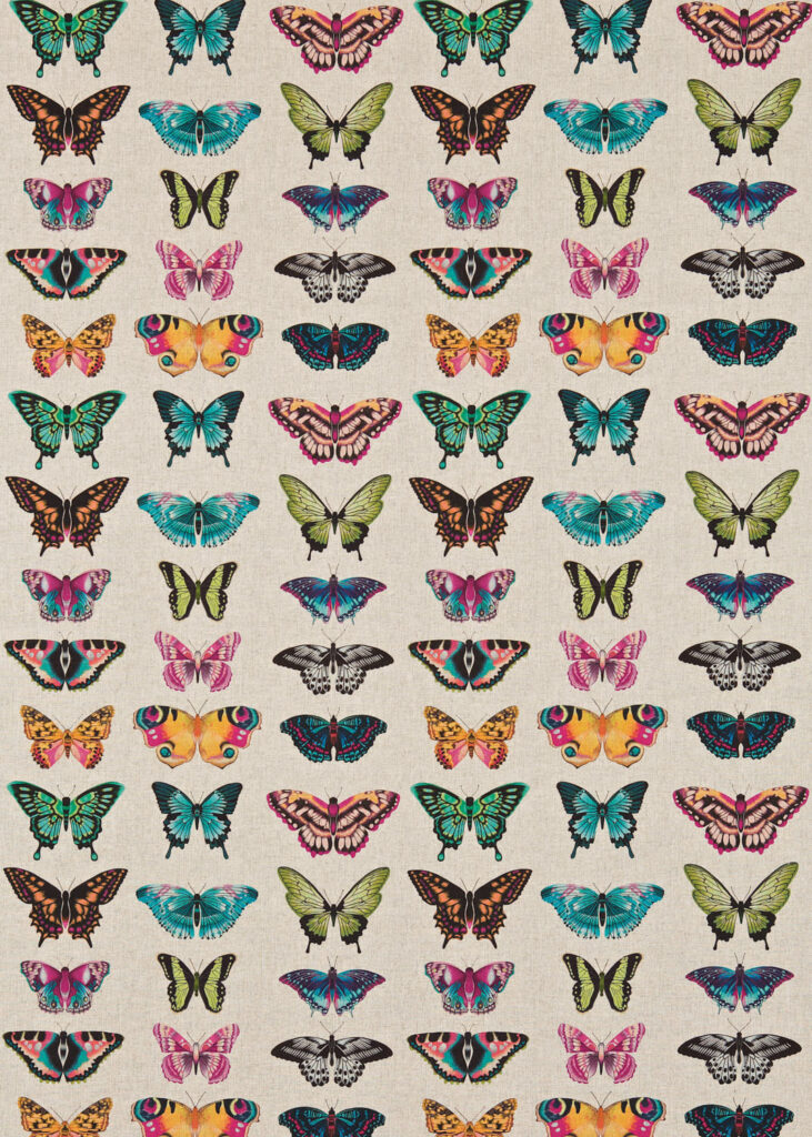 Flamingo / Papaya / Loganberry