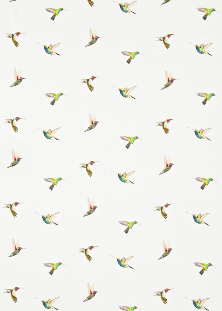 Flamingo / Papaya / Apple