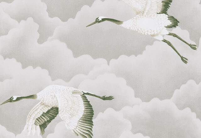 Cranes In Flight | Colour Wallpapers