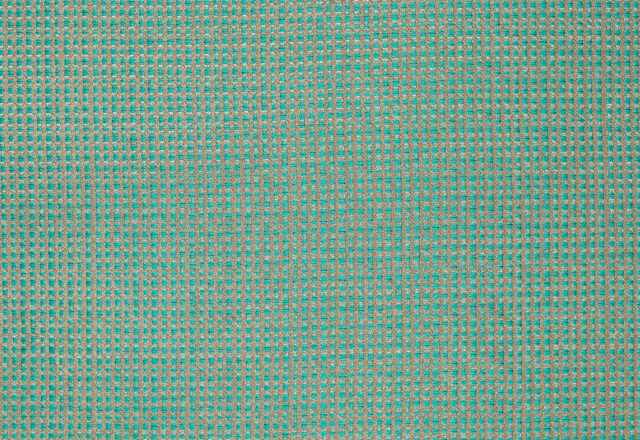Momentum Accents | Colour Fabrics
