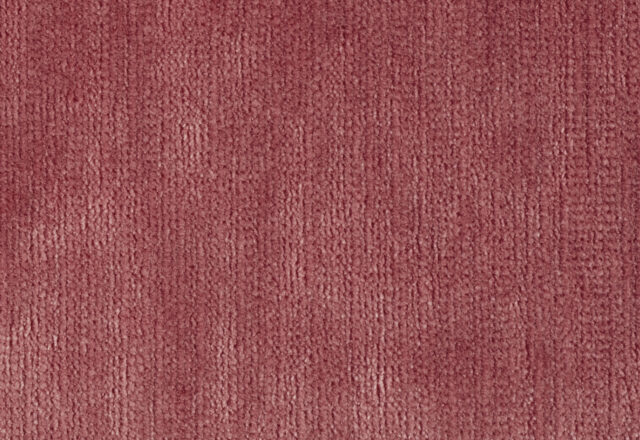 Momentum Velvets | Momentum Velvets