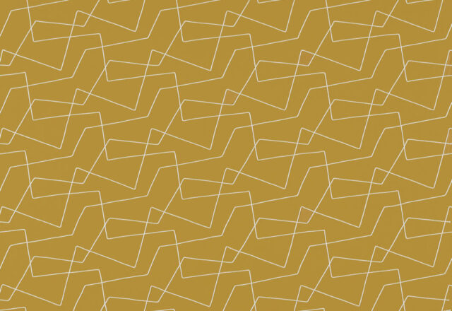 Extensity | Momentum 14