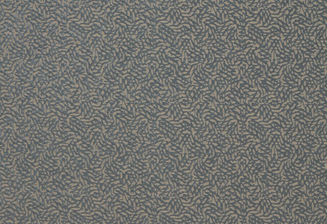 Dentella | Colour 2 Fabrics