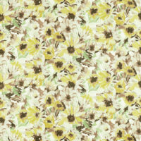 Sunflower/Grass/Awakening  thumbnail