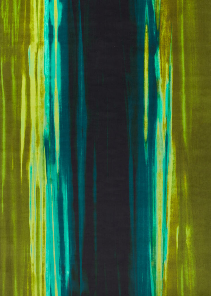 Wilderness/Amazonia/Tree Canopy