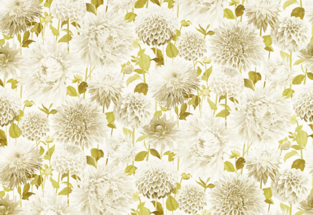 Dahlia | Colour 2 Fabrics