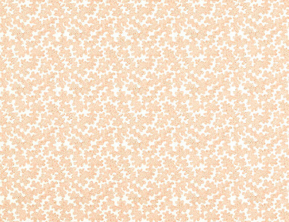 Zori | Colour 3 Fabrics