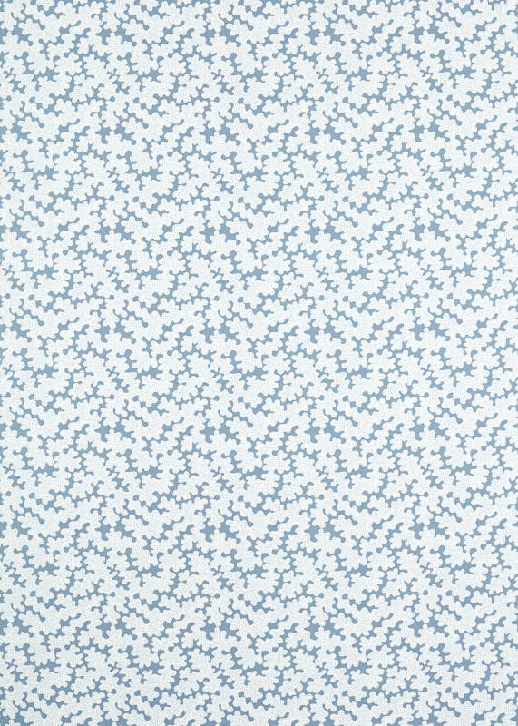 Cornflower/Awakening