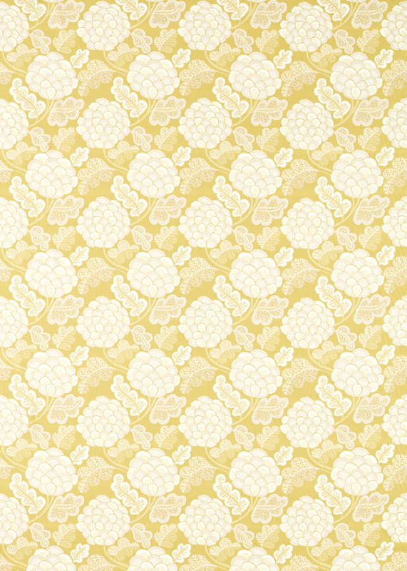 Nectar/Zest/First Light