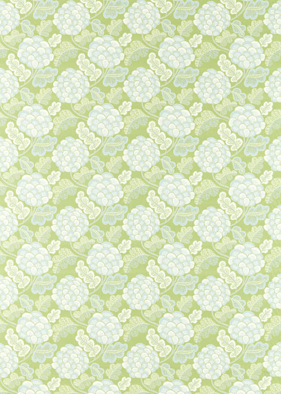 Tree Canopy/Silver Willow/Awakening