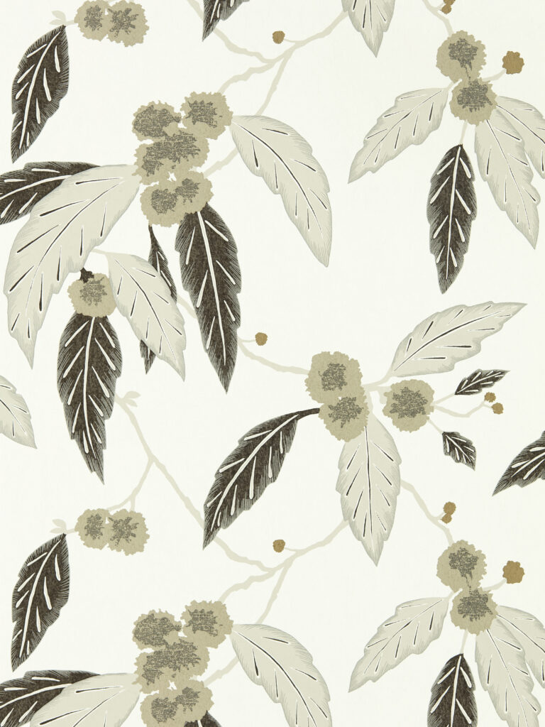 Oyster / Ebony / Gilver