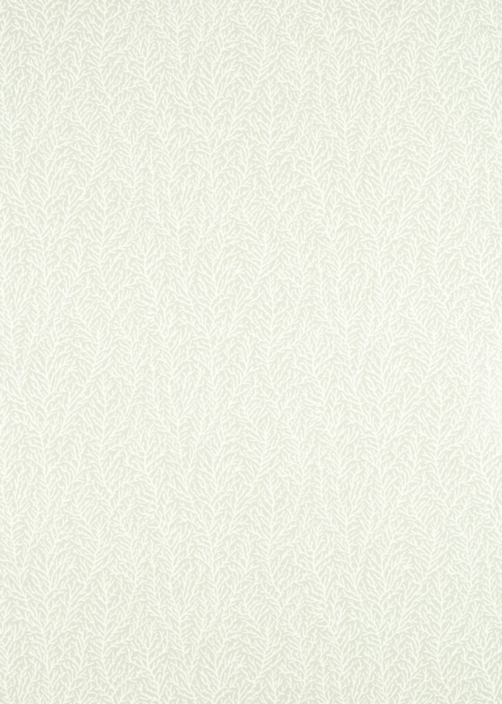 Diffused Light/First Light