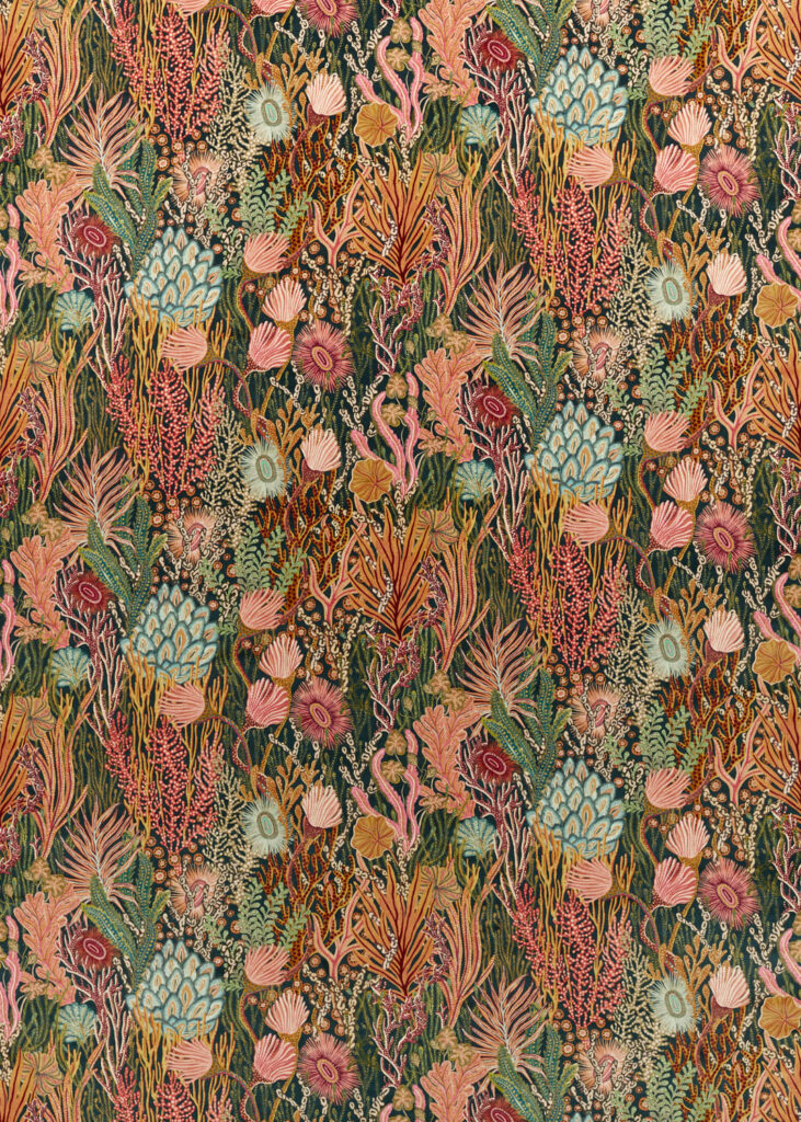 Brazilian Rosewood/Nectar/Tree Canopy