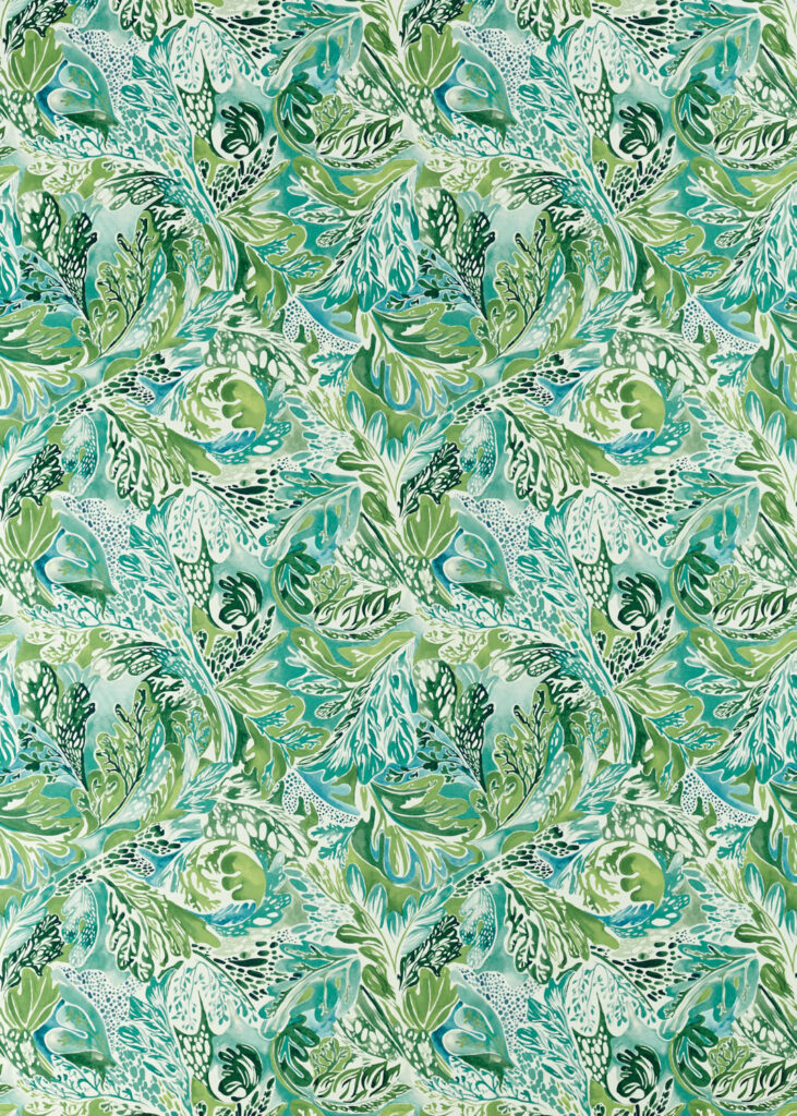 Fig Leaf/ Tree Canopy