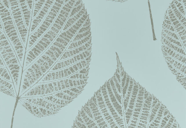 Leaf | Colour Wallpapers