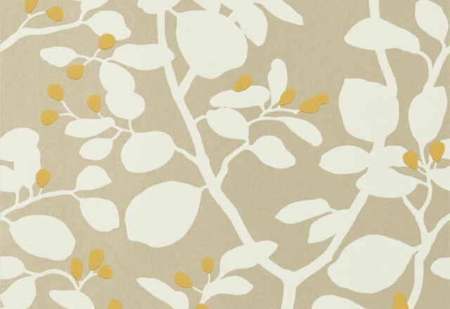 Ardisia | Colour Wallpapers