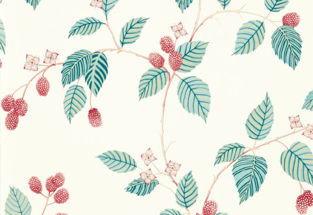 Rubus | Aboretum