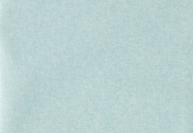 Sessile Plain | Aboretum