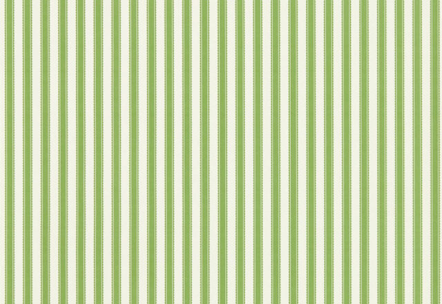 Pinetum Stripe | Aboretum