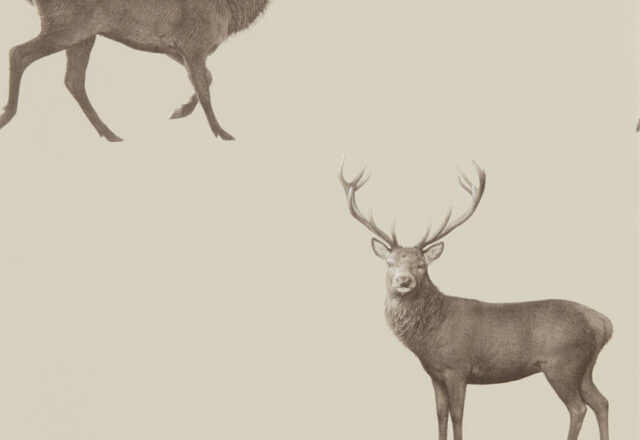 Evesham Deer | Aboretum