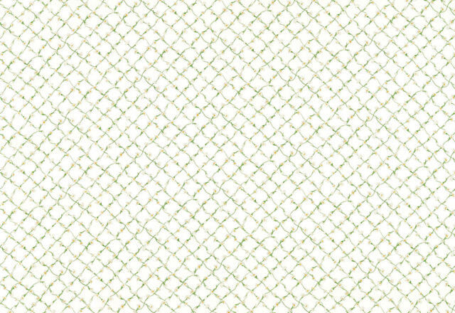 Daisy Trellis | Harlequin x Sophie Robinson