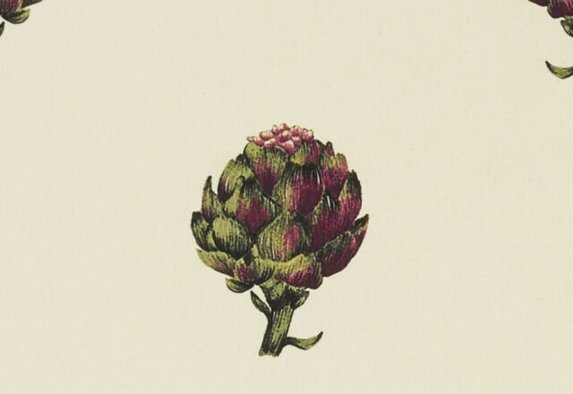 Artichoke | Eden