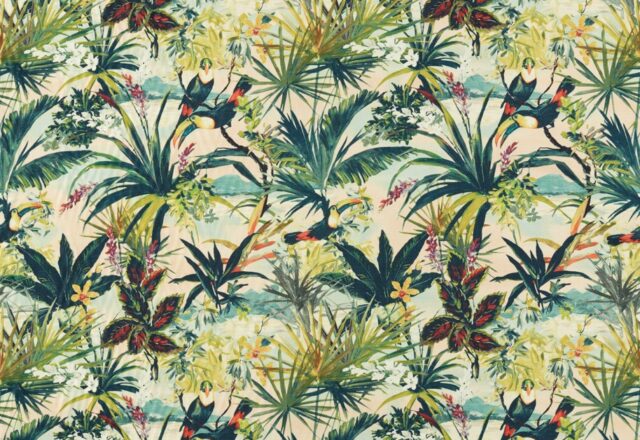 Toucan | Exotica 2
