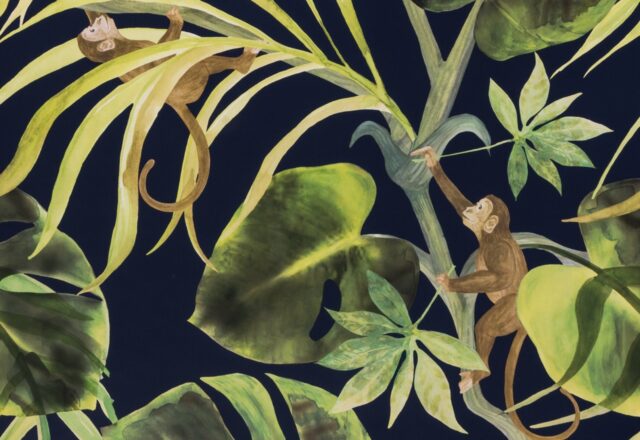 Monkey Business | Exotica 2 Wallpaper