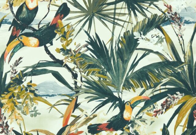 Toucan | Exotica 2 Wallpaper