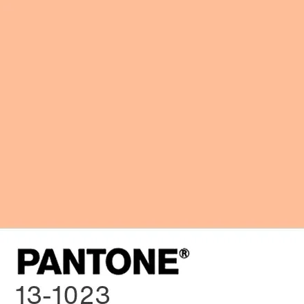 2024 Pantone Colour of the Year - Peach Fuzz