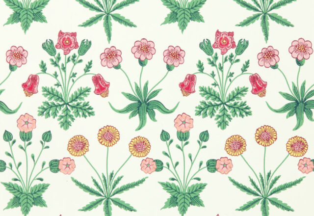 Daisy | Bedford Park Wallpapers