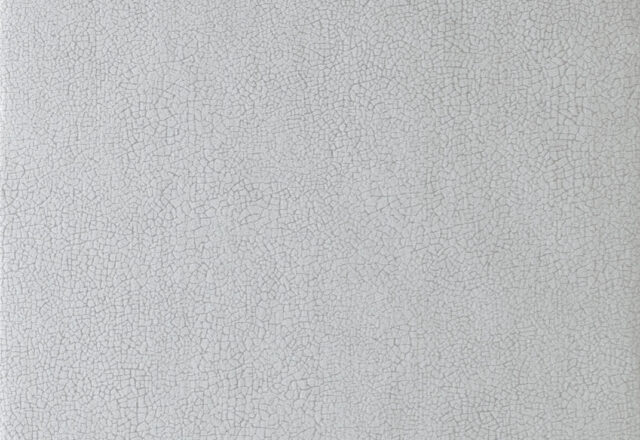 Igneous | Reflect Wallcoverings 2