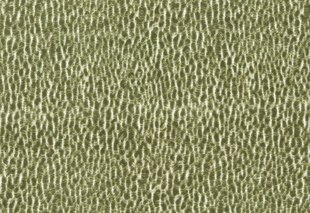 Lacuna | Reflect Velvets