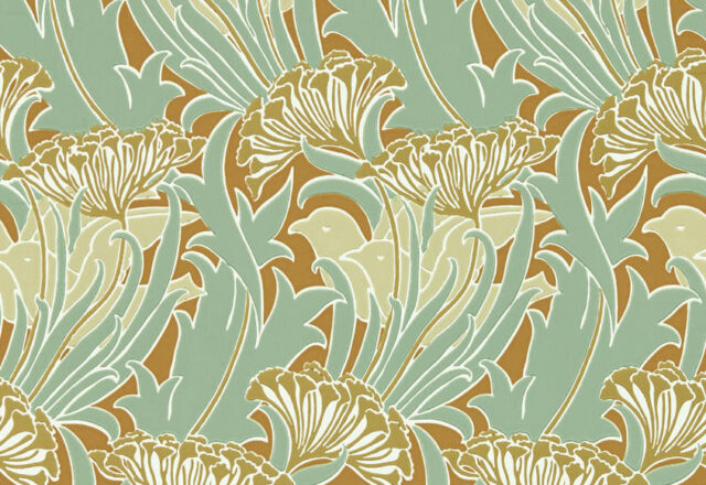 Laceflower | Bedford Park Wallpapers
